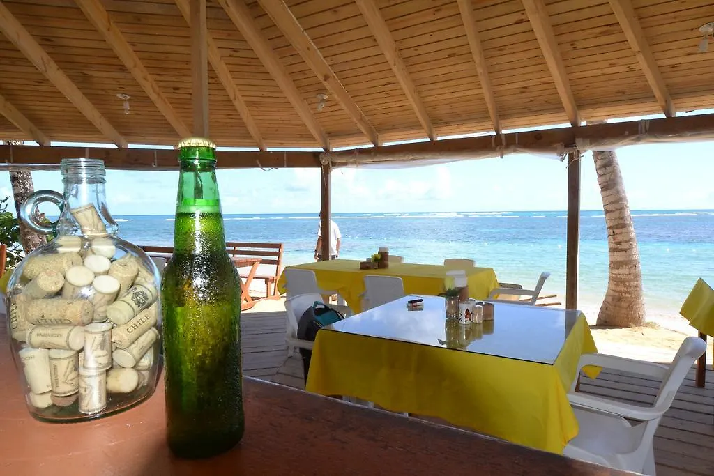 Costarena Beach Hotel Las Terrenas 3*,